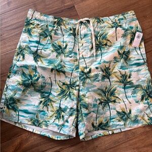 Old Navy Men’s Swim Trunks